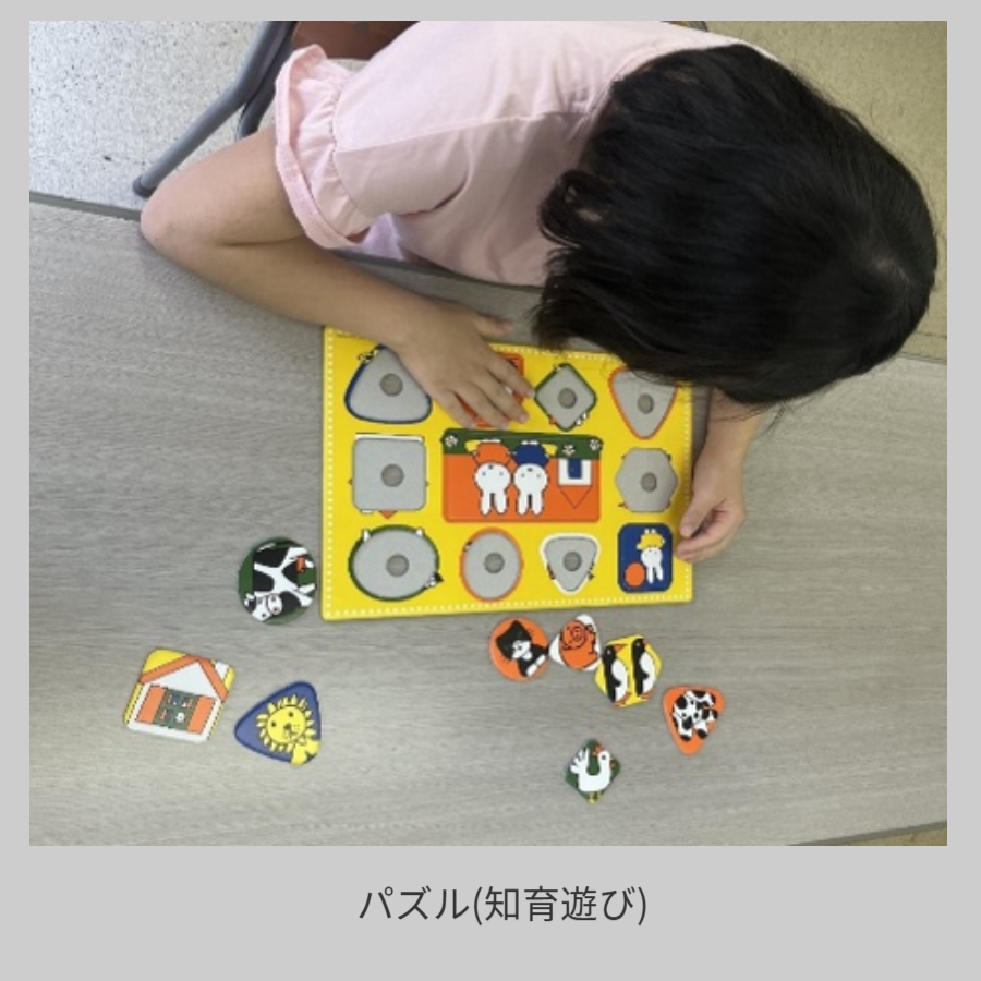 パズル(知育遊び)